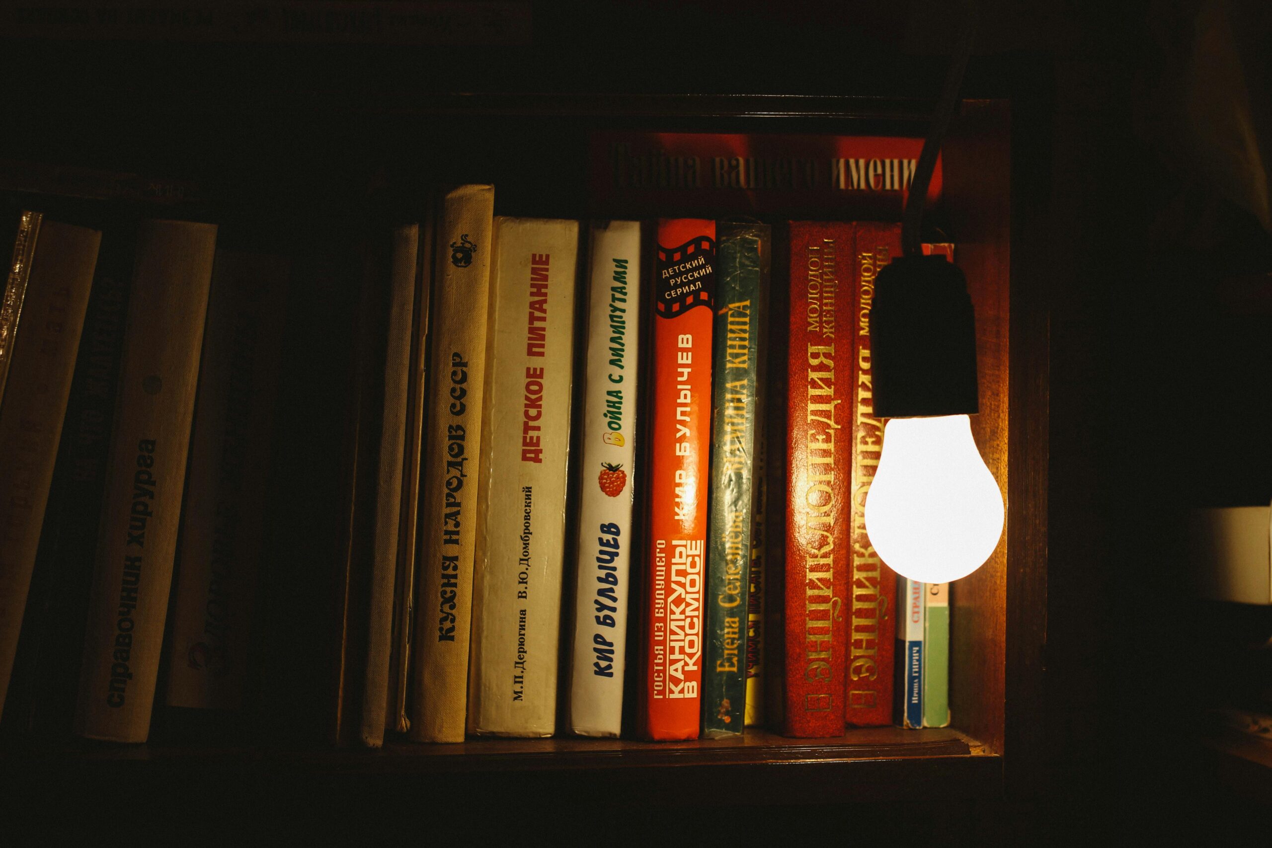 Книжная полка с классической литературой 