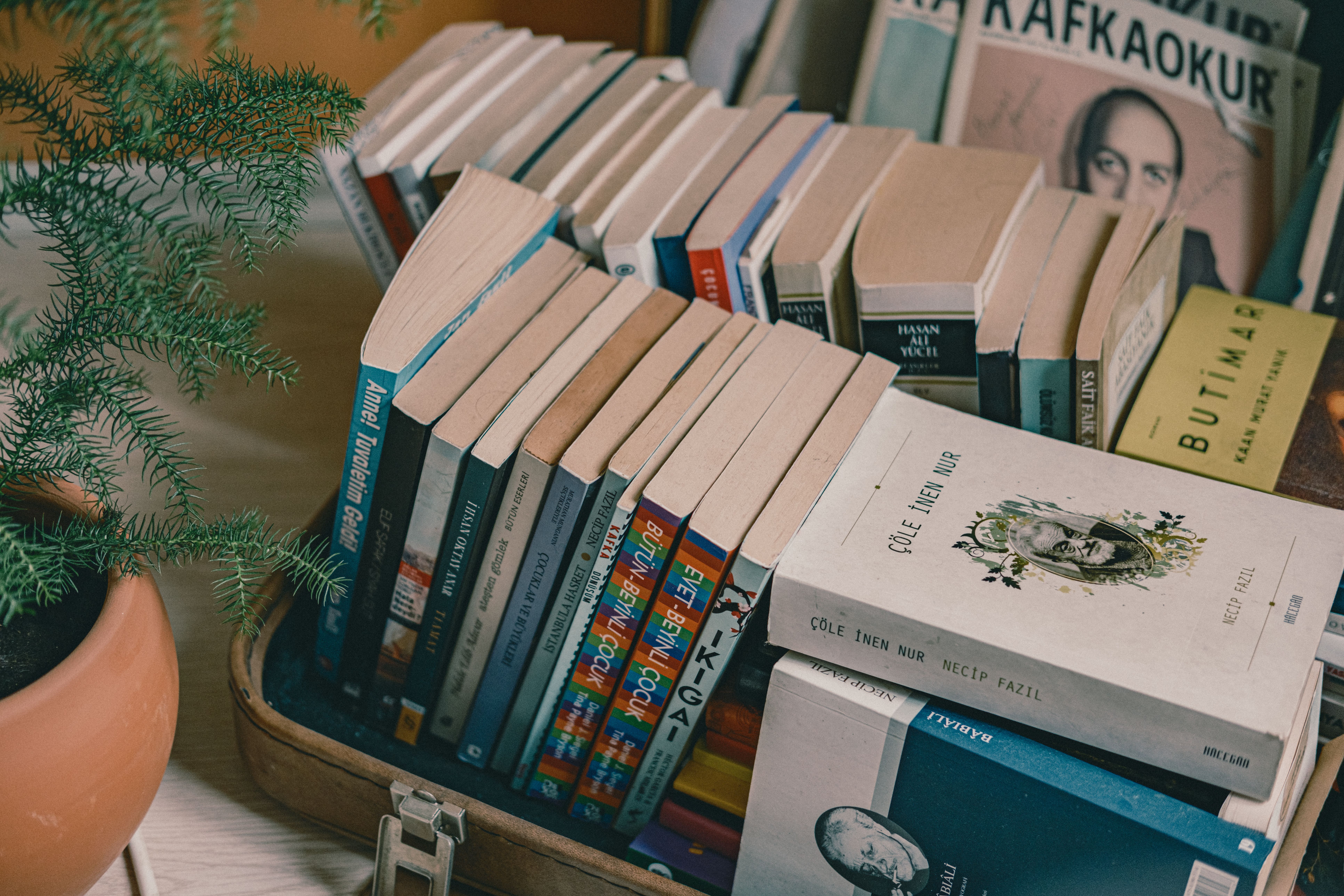 Участники книжного клуба в Переделкине обсуждают литературу