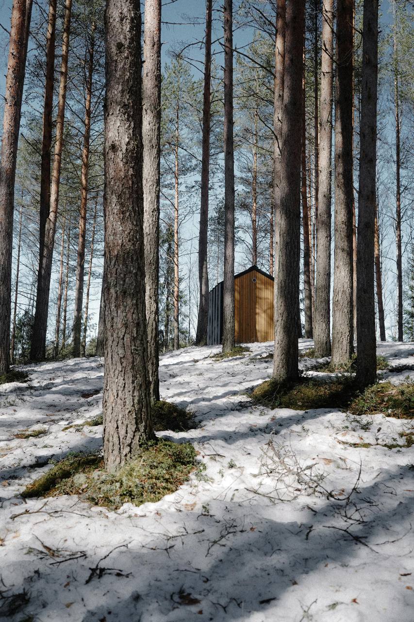 Персональный wellness — здоровое питание Сбалансированный завтрак с фруктами и смузи для поддержания здоровья